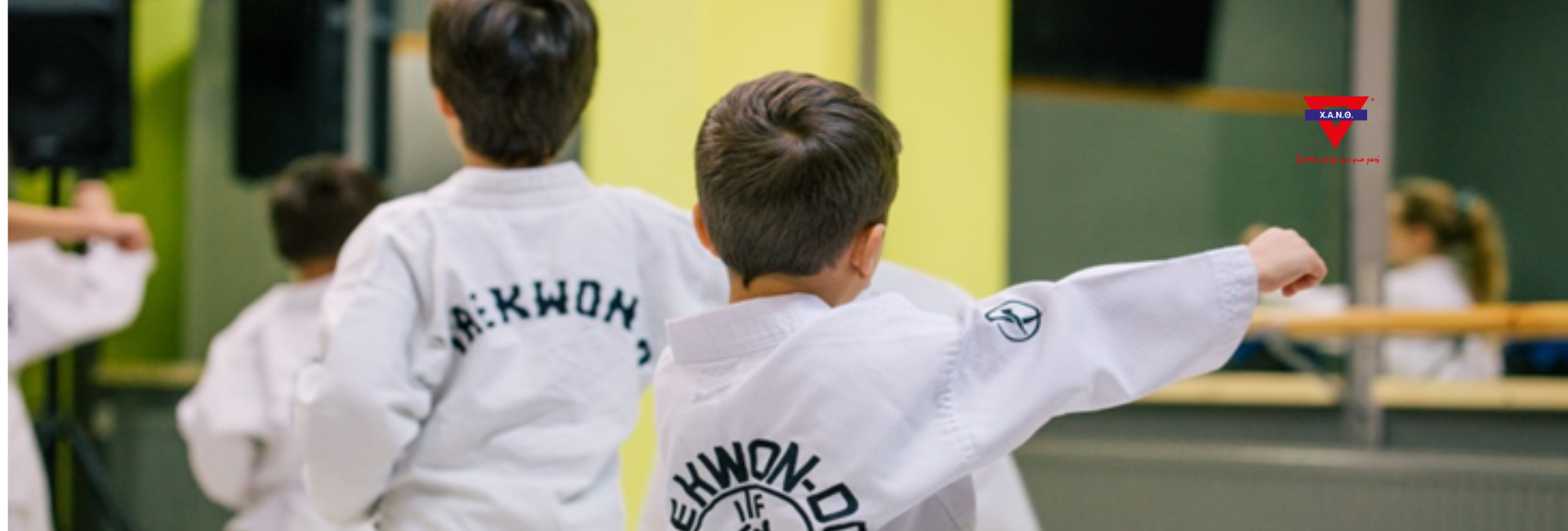 Ακαδημία Tae Kwon Do
