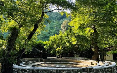 🍁‼️ “Θα ακουστεί ξανά η κραυγή στον Άη Γιάννη” ‼️🍁