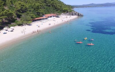 «Όταν η κατασκήνωση αλλάζει τη ζωή ενός παιδιού με διαβήτη. Η εμπειρία 30 ετών, το παρόν και το μέλλον» | 22/3 | Hyatt Regency Θεσσαλονίκη