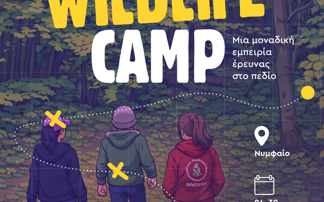 Wildlife Camp | ARCTUROS x YMCA Thessaloniki @ Nymfaio