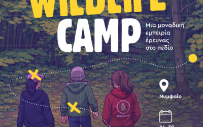Wildlife Camp | ARCTUROS x YMCA Thessaloniki @ Nymfaio